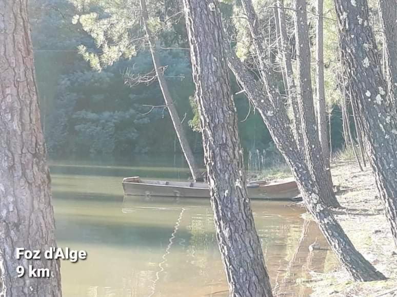 Casa Da Vila Figueiro Dos Vinhos Exterior foto